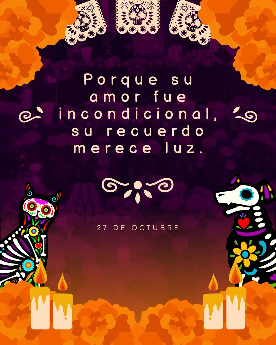 🐾🌟 Este 27 de octubre recordamos a los animales de compañía que nos enseñaron a amar sin palabras.
Aunque ya no estén, su presencia sigue viva en nuestra memoria y en los gestos cotidianos. 🕯️🐹🐶🐱🐰🐣