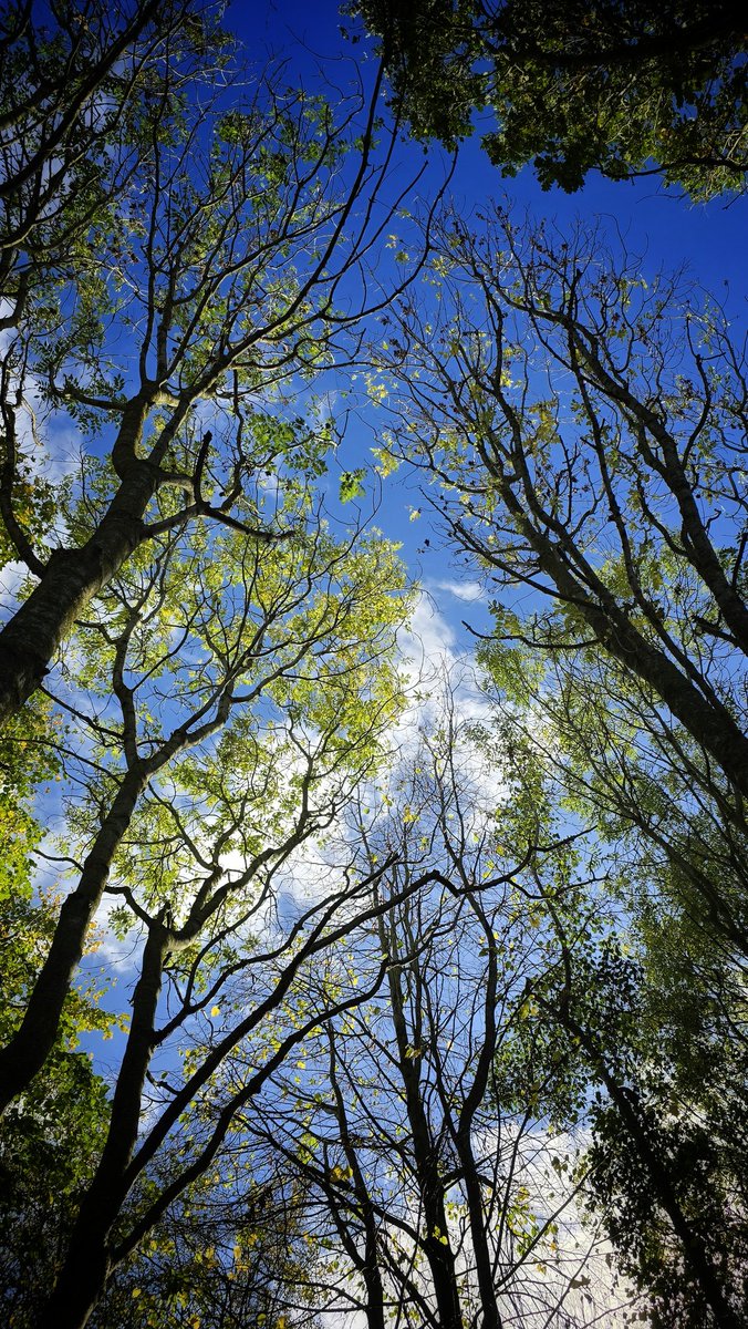 simondavi1's tweet image. Have a great weekend people! 😊