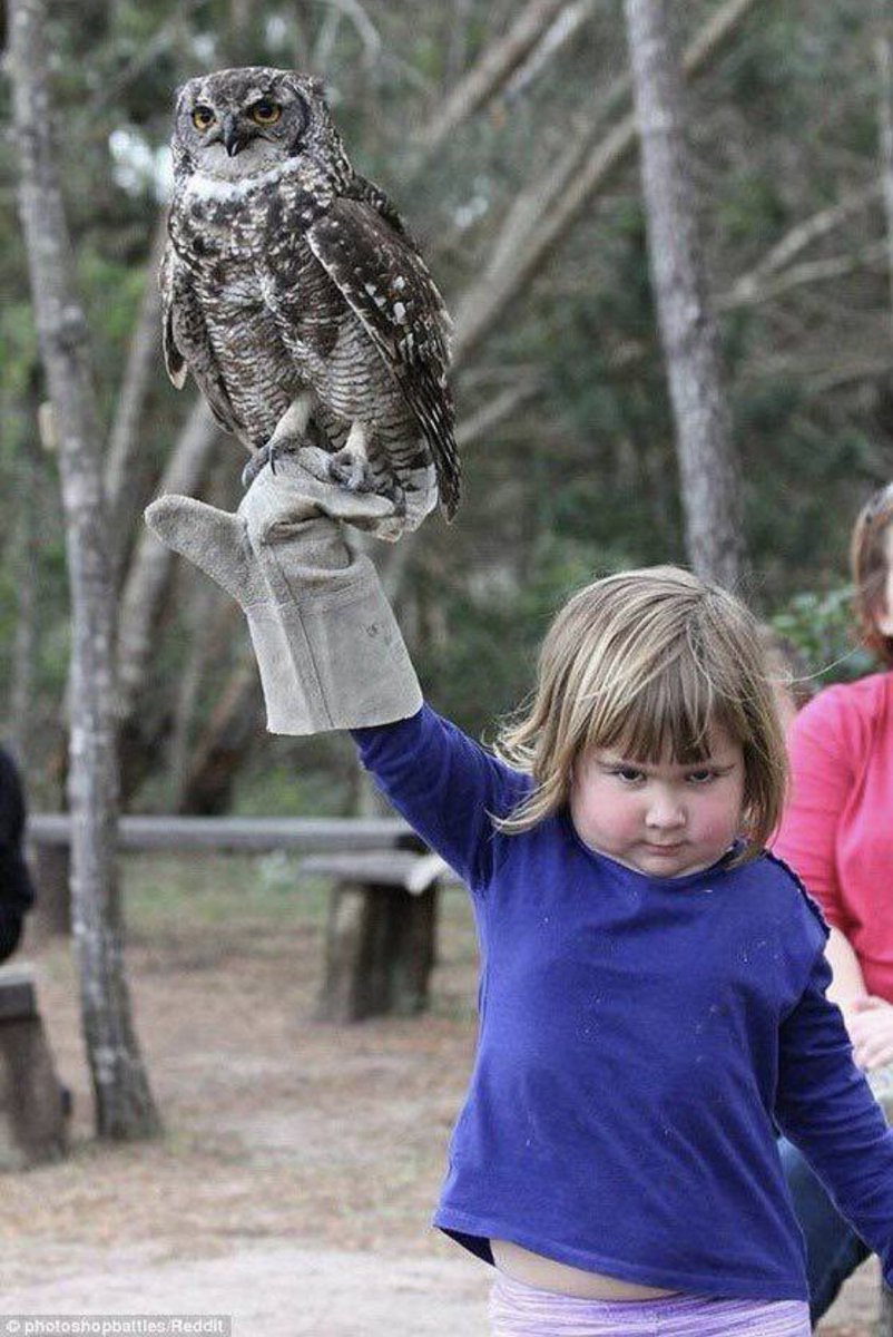 shasinde0's tweet image. 【写真で一言】

お題