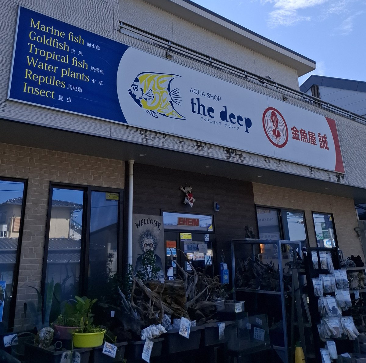 FLBFKABU's tweet photo. 朝から余り #興味の無い
#観戦 をTVで…‼️
観ていても
今日は堪らない…(´；ω；`)💧

そんで持って
#海水魚屋さん へ🐾❇️
#マンダリンフイッシッ の
ご飯を買い忘れたので
レッツゴウ🐾❇️

行けば欲しくなる💕
また
海水魚を買い足し🤣❇️

#アクアショップthedeep
#凄い #種類 #安心丁寧

#飽きない https://t.co/aNfjRwBCq5