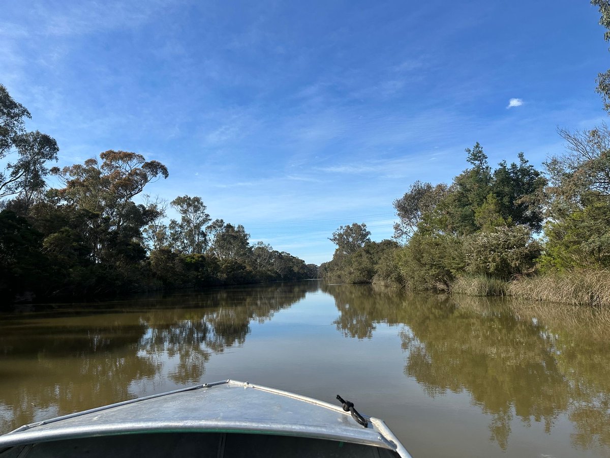 Out on the water today enjoying watching the rowing training!!!

It was such a long way to the start line, 4km is a very impressive distance to row!