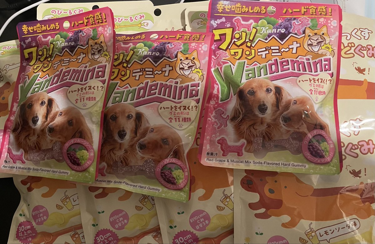 management_mst's tweet image. ダックスグミ買えた!!!
#ダックス #ダックスフンド