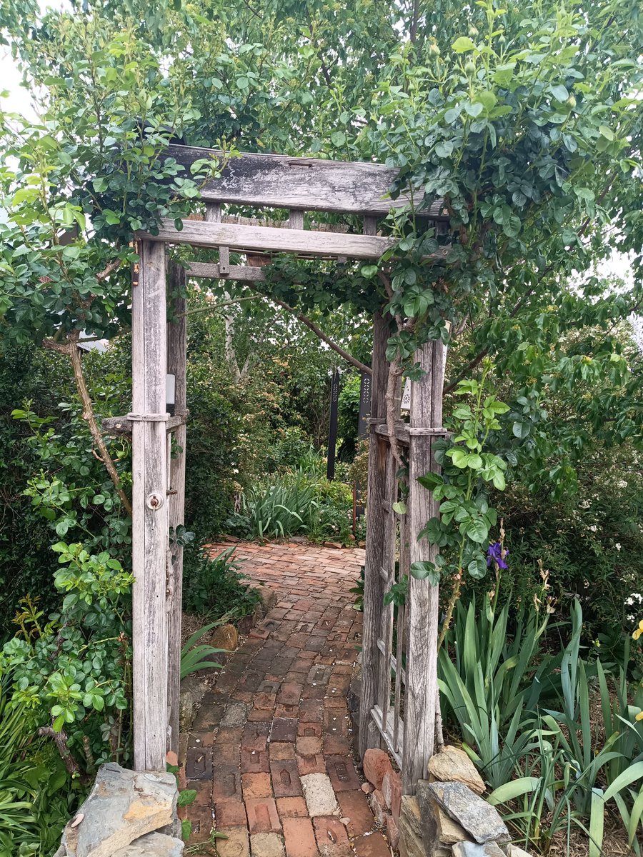 Yep that was a great idea to go and look at gardens and now I'm totally smitten and obsessed and can't ever go back to being less of a gardener...