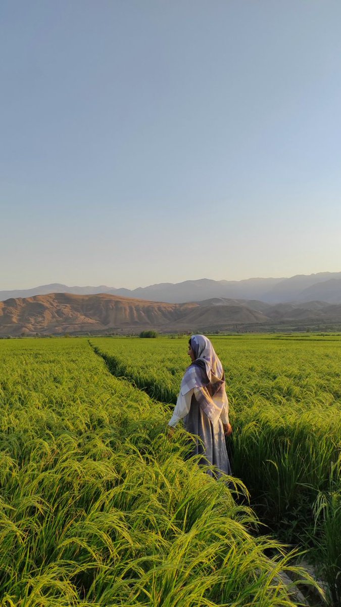 "Hangi kısık sesin göğü titreteceğini bilemezsin,
Sen, sen ol kimseyi hâkir görme .."

صباح الخير'💌