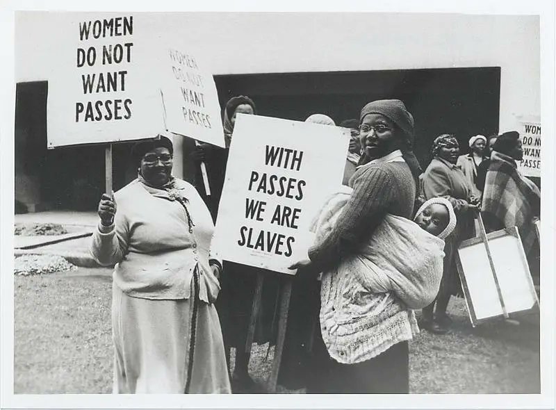 History ZAR (@historysazar) on Twitter photo A group of women hold signs in demonstration against the pass laws in Cape Town on August 9, 1956, the same day as the massive women’s protest in Pretoria. Image Source: National Library of South Africa A group of women hold signs in demonstration against the pass laws in Cape Town on August 9, 1956, the same day as the massive women’s protest in Pretoria. Image Source: National Library of South Africa