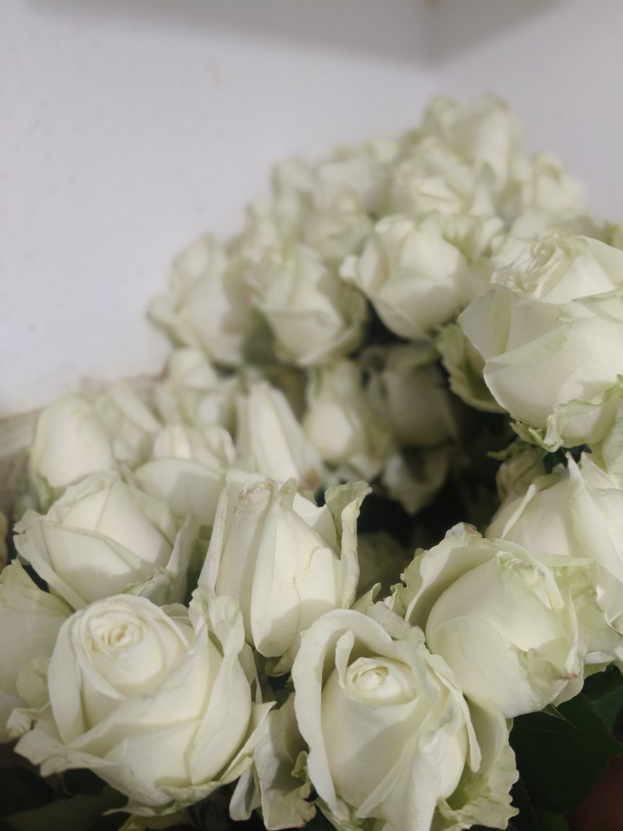 laximenona's tweet photo. Amo las flores 😍💕 https://t.co/IvPz2dJgd1