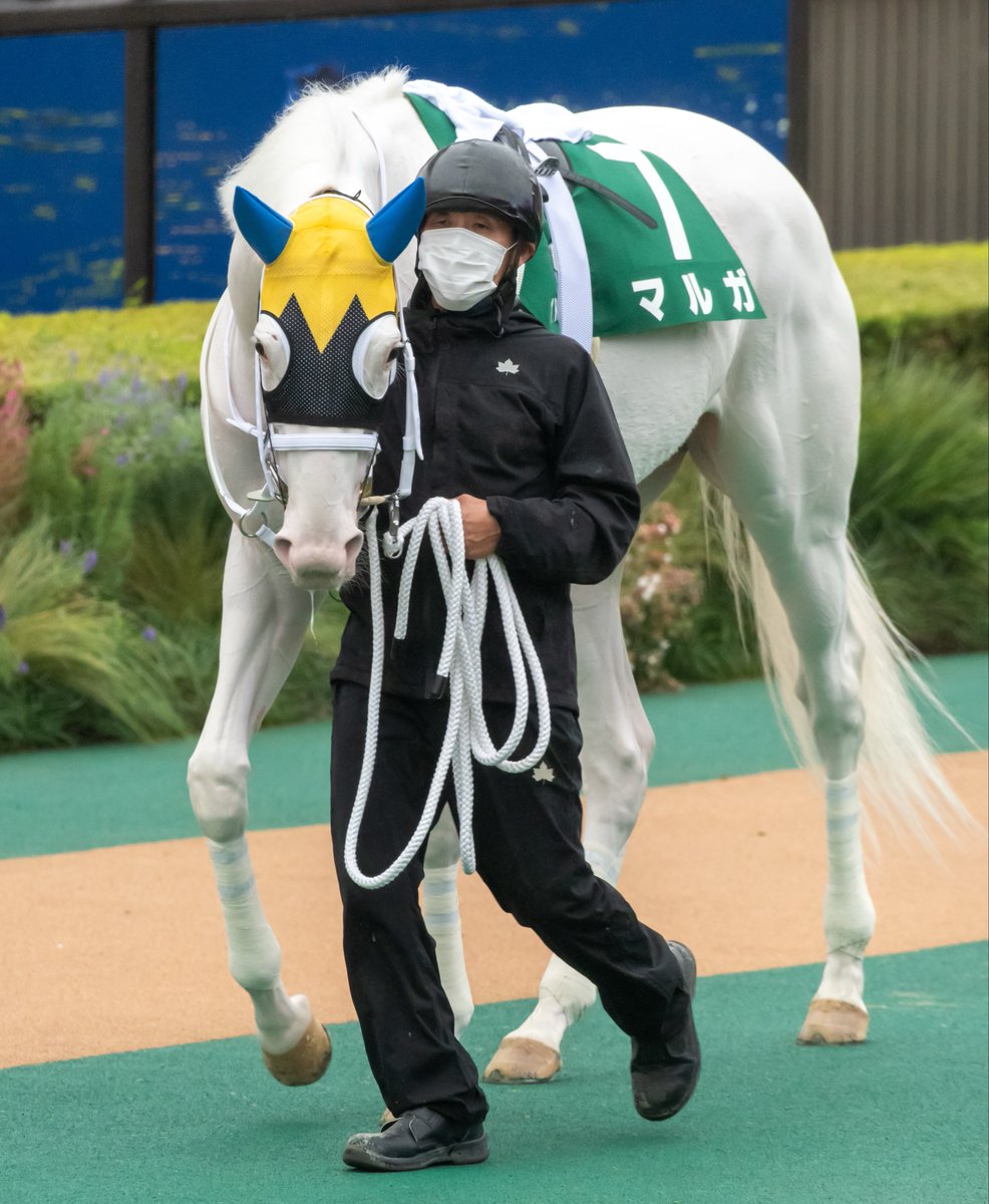 んげ！ザワ東7 P27b (@nnngege) / Posts / X