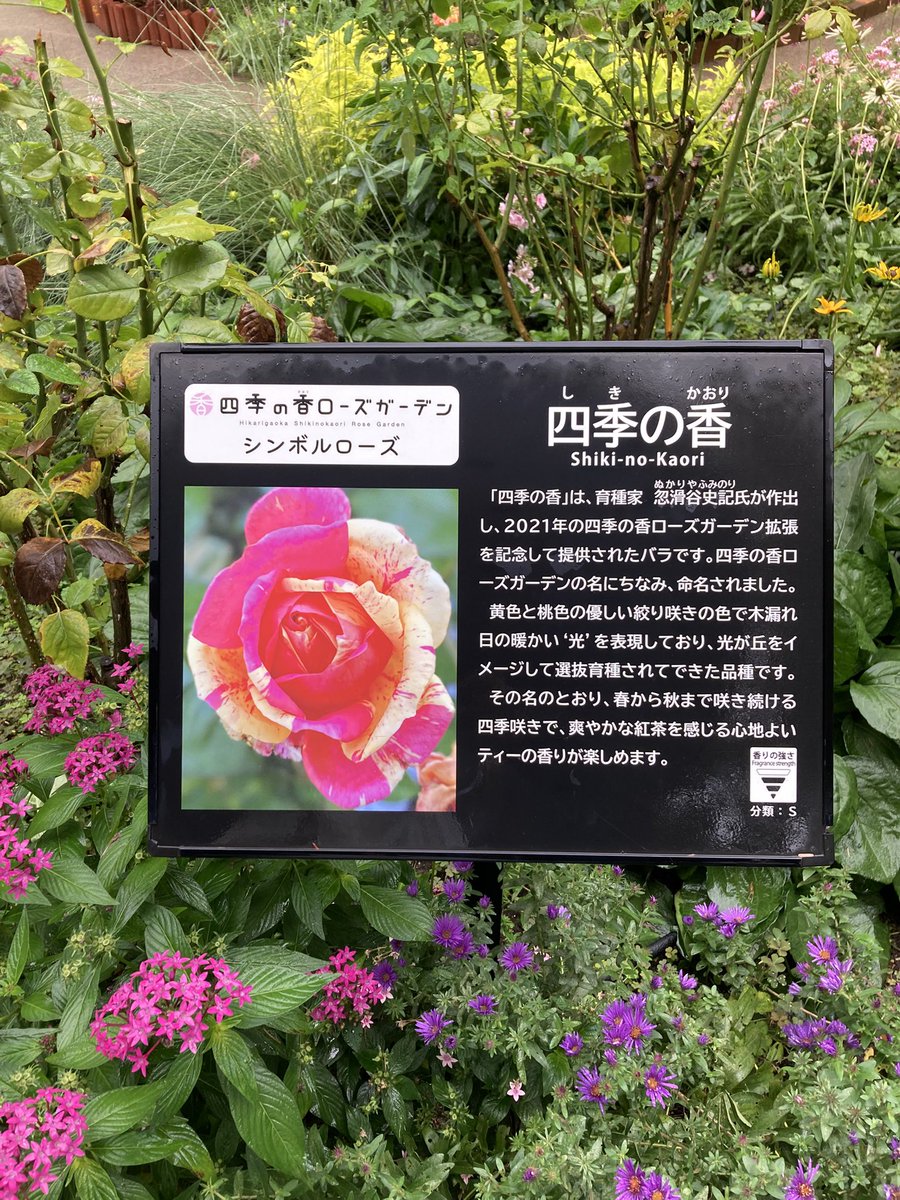 平日課長(英傑大戦:ロゼカラー) on X