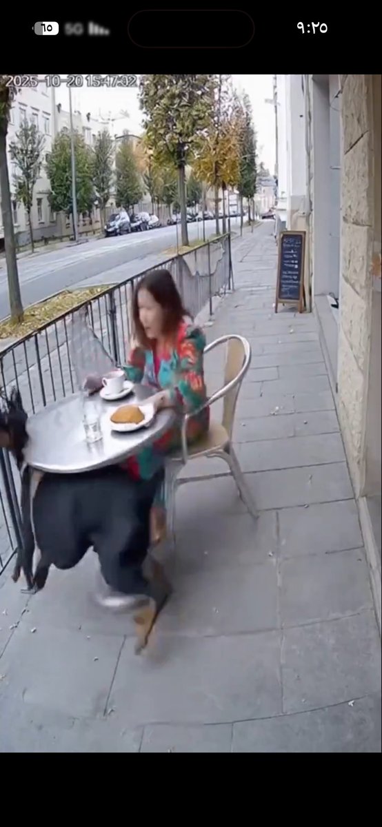 خالد بن عبدالله tweet media