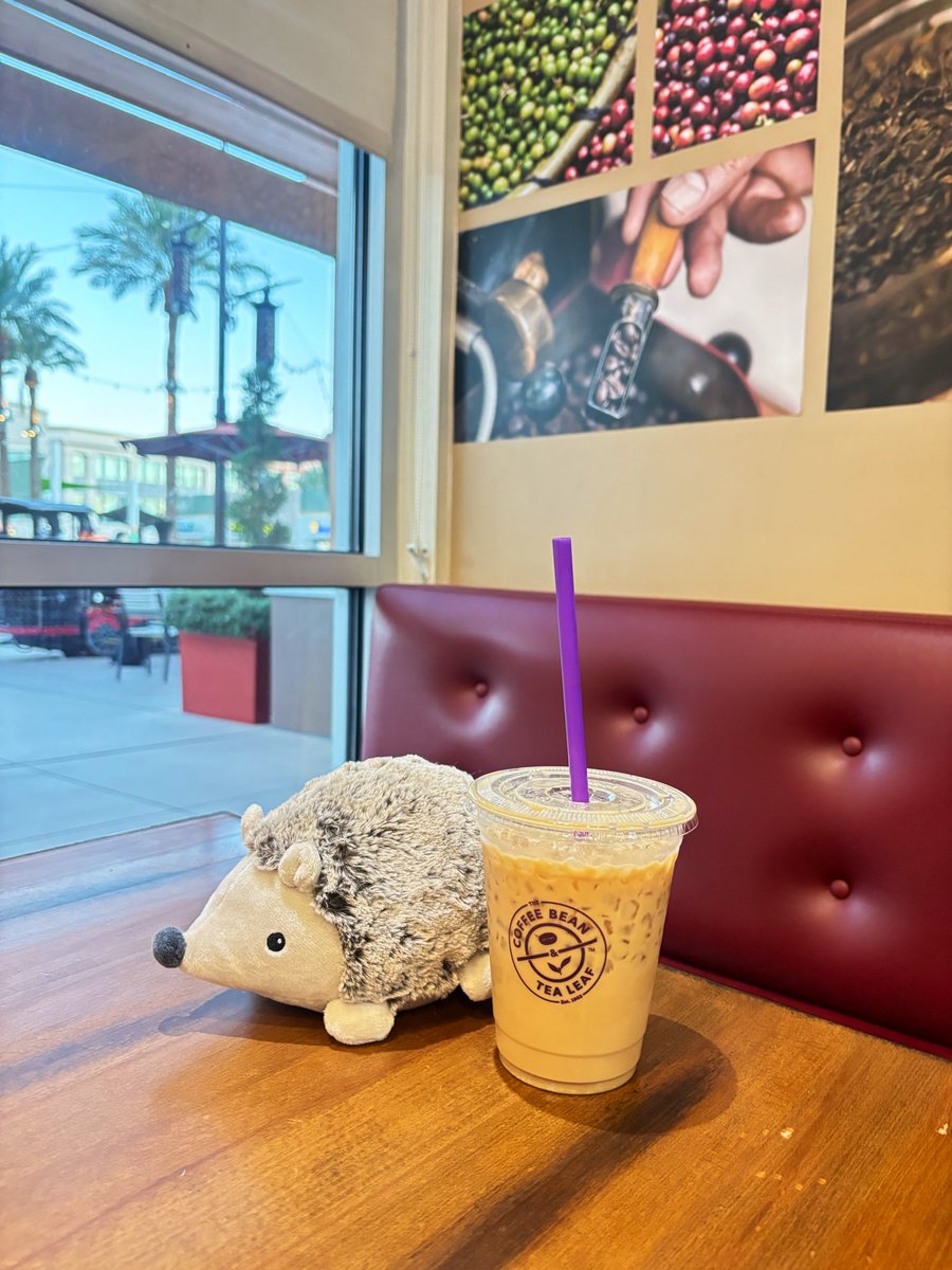 NChicat's tweet photo. Very grateful and thankful for becoming a Doremin. Nothing fancy, but coffee was so good! And found this cute hedgehog. What are the chances? 

been cutting on coffee lately but whenever i have coffee, i just pretend freo is streaming a coffee zatsu. 

#Furimiru #Doremin https://t.co/VVJft9Hegr