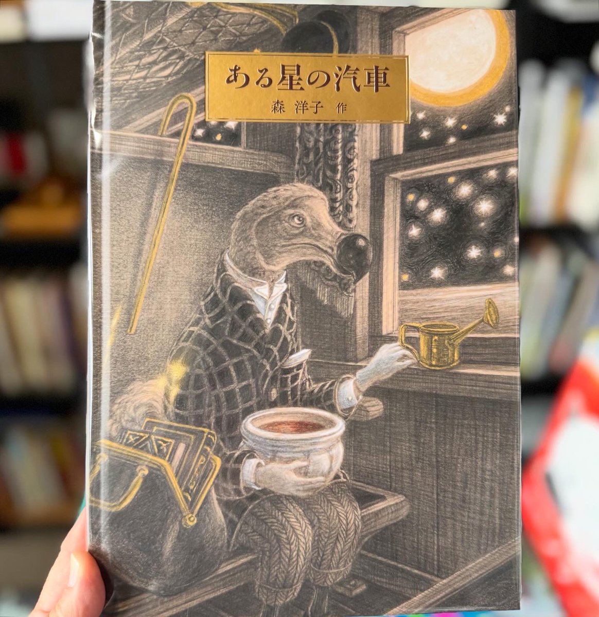 まめのこページ 兵頭有紀 on X