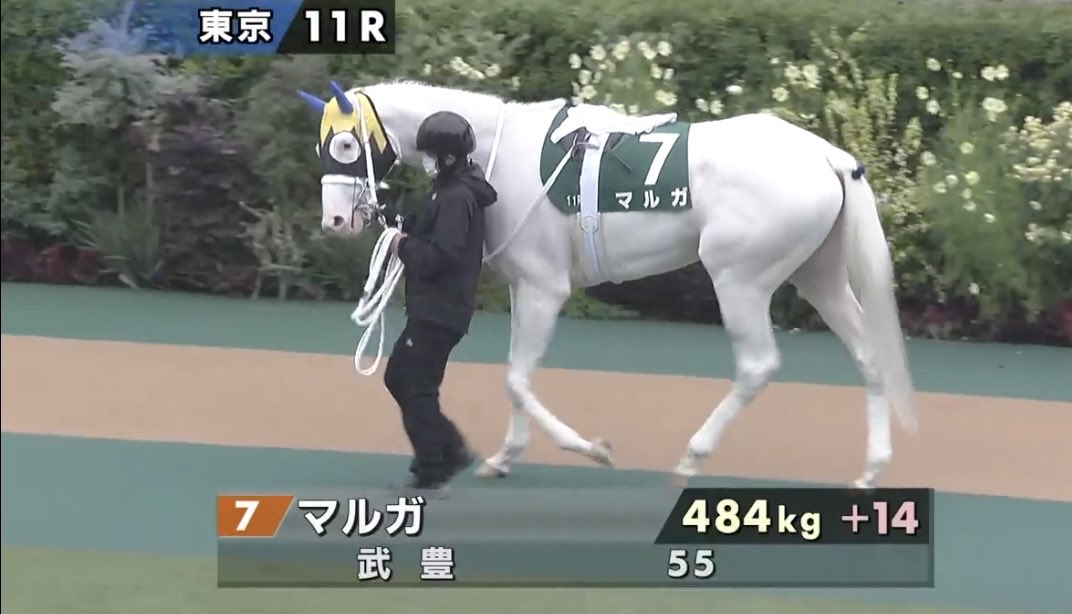 秋風旬太郎 on X