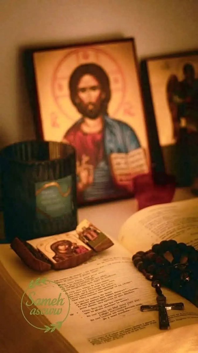 لِأَنَّ ٱلْكِتَابَ يَقُولُ: «كُلُّ مَنْ يُؤْمِنُ بِهِ لَا يُخْزَى».
رُومِيَةَ ١٠:١١