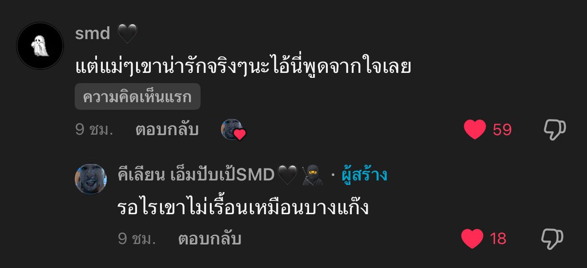 24🐻 tweet media