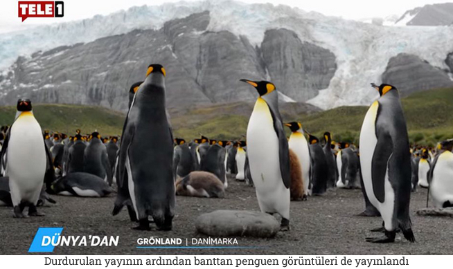 Memleketimden penguen manzaraları...