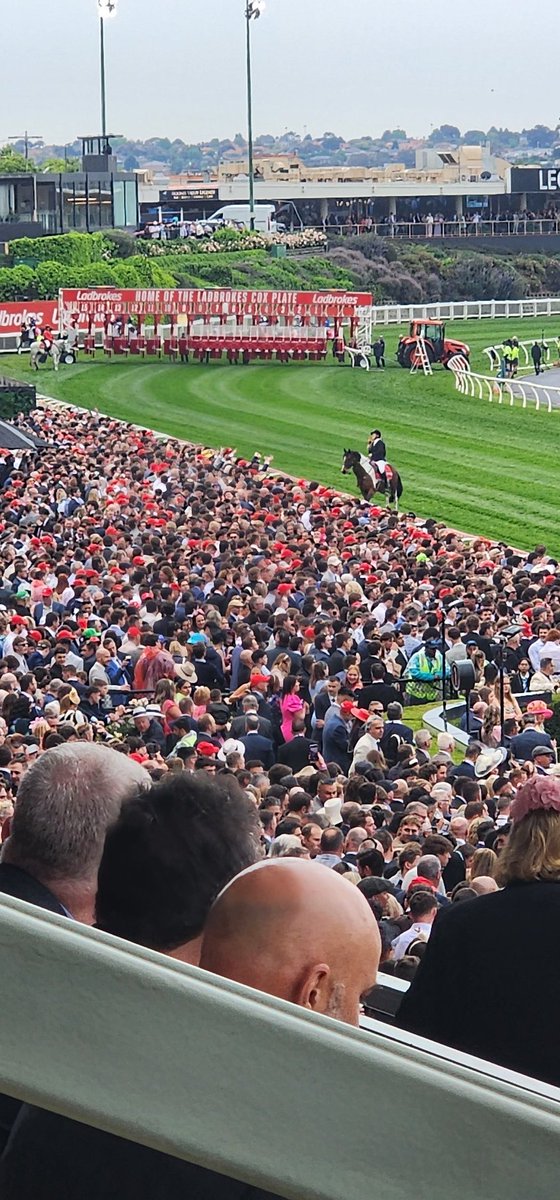 Kristen Manning tweet media