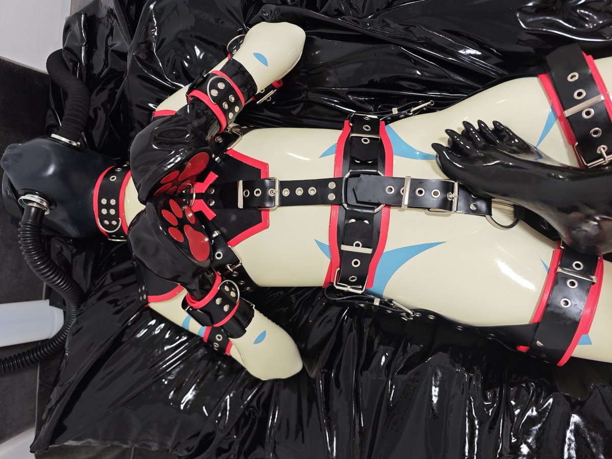 ~Maxwell tweet media