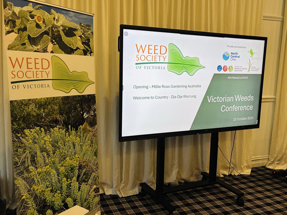 It was lovely to talk about our research on #weedy #Gazanias at the #Victorian #Weeds #Conference last week. Thanks for the invite The Weed Society of Victoria (<a href="/society_weed/">Weed Society of Victoria</a>). It’s encouraging to see rising awareness on this topic backed by our evidence-based research. We are