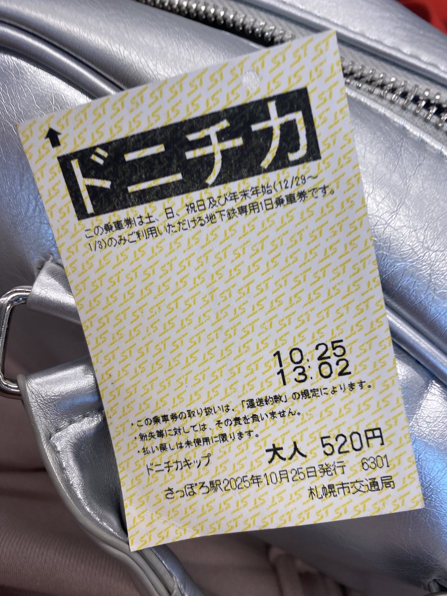 ⭐︎専用⭐︎ ポメラニアンの足様 LISA NUBIAN