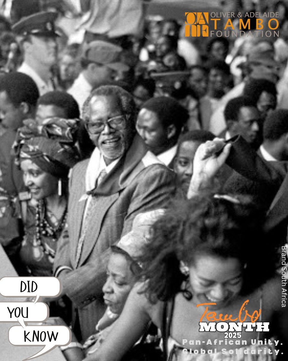 Tambo Foundation tweet media