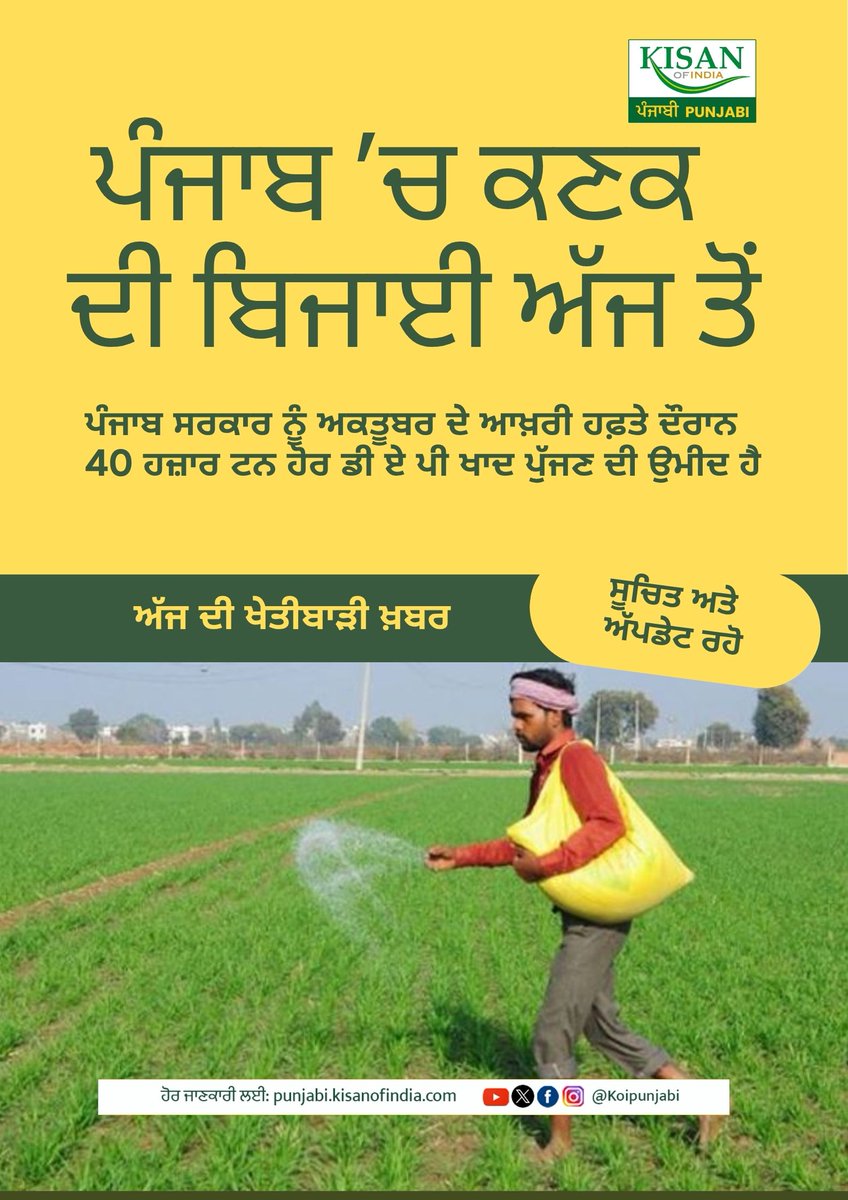 KOIPunjabi's tweet photo. DAP ਖਾਦ ਦੀ ਘਾਟ ਨਾਲ ਪੰਜਾਬ ਦੇ ਕਿਸਾਨ ਚਿੰਤਿਤ 

#KisanOfIndiapunjabi #koipunjabi #kisanofindia #PunjabAgriculture #WheatSowing #FertilizerShortage #DAPShortage #PunjabFarmers #FarmingNews #AgricultureUpdate #FarmInputCrisis #AgriPolicy #FertilizerCrisis #FarmersIssues #RuralEconomy https://t.co/WOA6CEMsD1