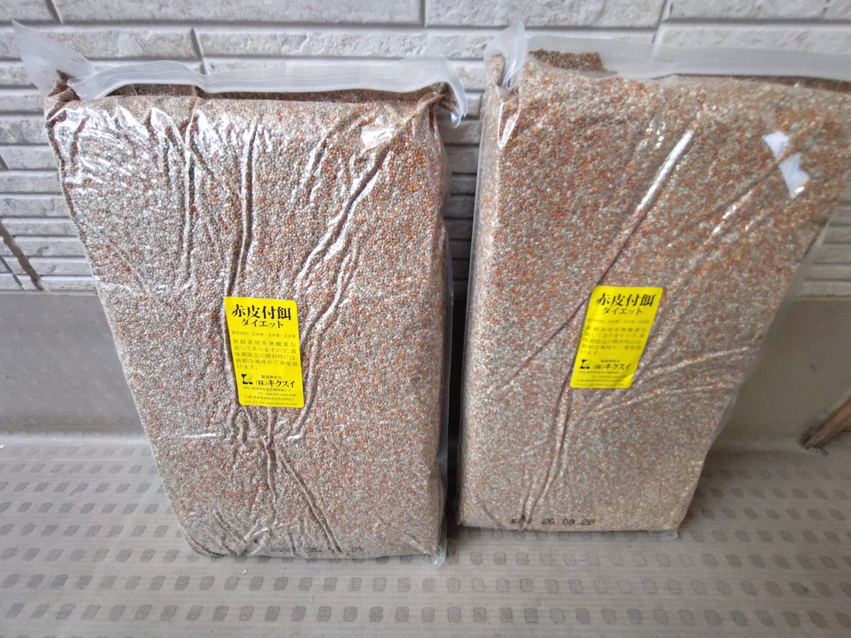 【御礼】
本日ご飯類が沢山到着しました！
いつも応援してくださりありがとうございます。

検疫室入室の際に使うマスクも一緒にいただきました！
(頑張ってお掃除をしても動物がいる施設のためどうしてもブラックGが発生してしまうので、個包装マスク嬉しいです🙏)

amazon.co.jp/hz/wishlist/ls…