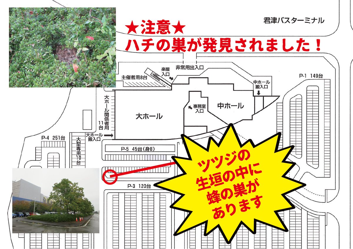 【⚠️重要なお知らせ】 
P5駐車場のツツジ植込の中に
スズメバチの巣を発見しました。
※月曜日には駆除できるよう準備中です。

皆様、巣の付近は大変危険です。
絶対に近づかないよう、ご協力ください。
低温により活動は鈍化しているようですが
安全を最優先に対応中です。

 #スズメバチ注意