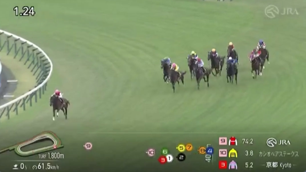 うまうまー(3分の2頭は来るマン！) (@yupo1004) / Posts / X