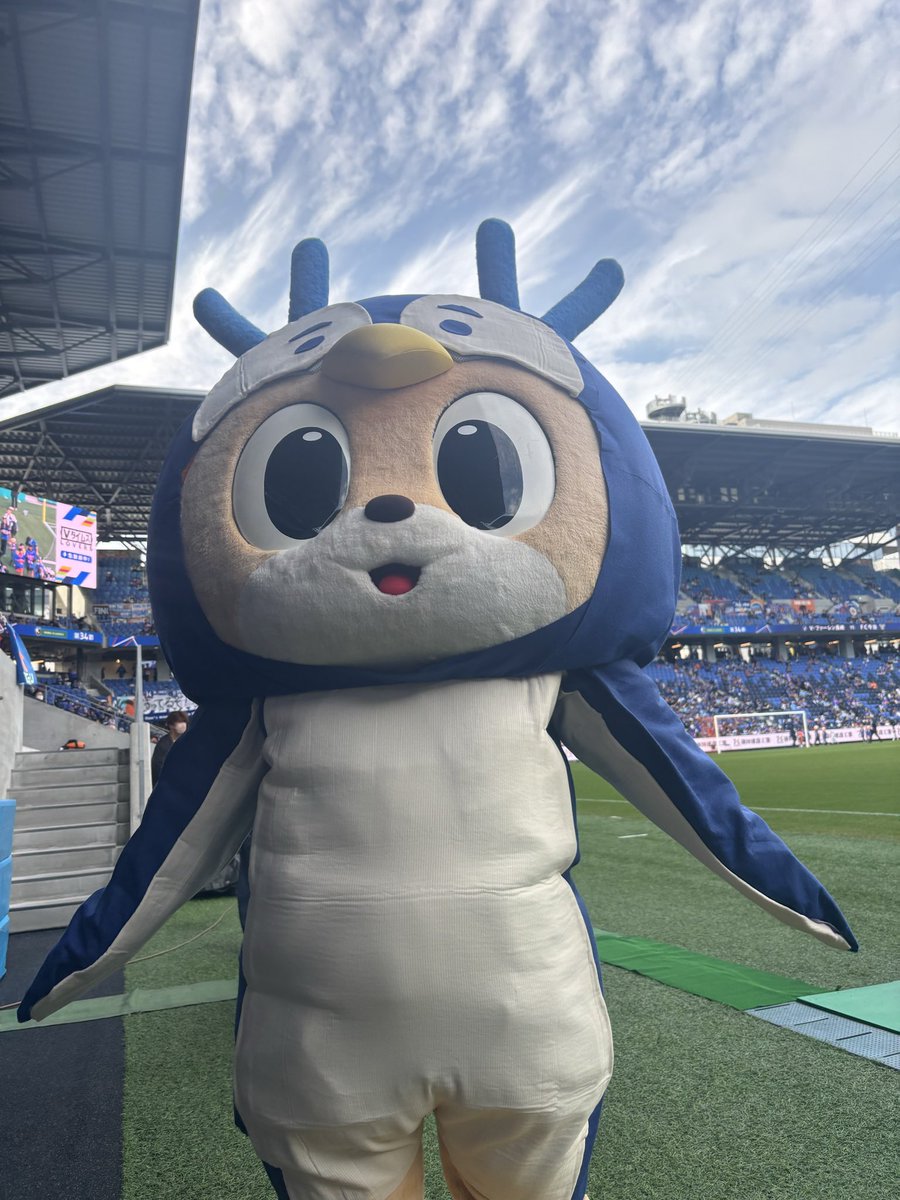 かずみん (@kazumin_sh41) / Posts / X