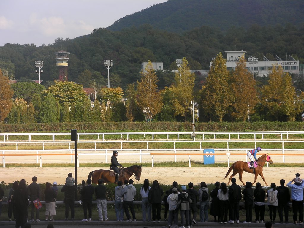 eat_hamthy's tweet photo. 경마장 가보셨나요…🐎
오늘 가장 기억에 남는 말 이름은
“말하는대로” https://t.co/fm7LBbgqQQ