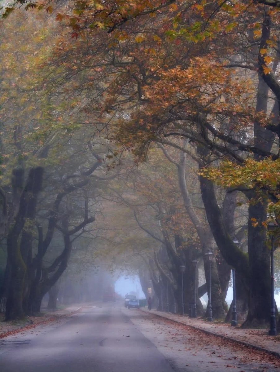 🌫️🍁Μαγνητίζει η φθινοπωρινή ομορφιά των Ιωαννίνων!