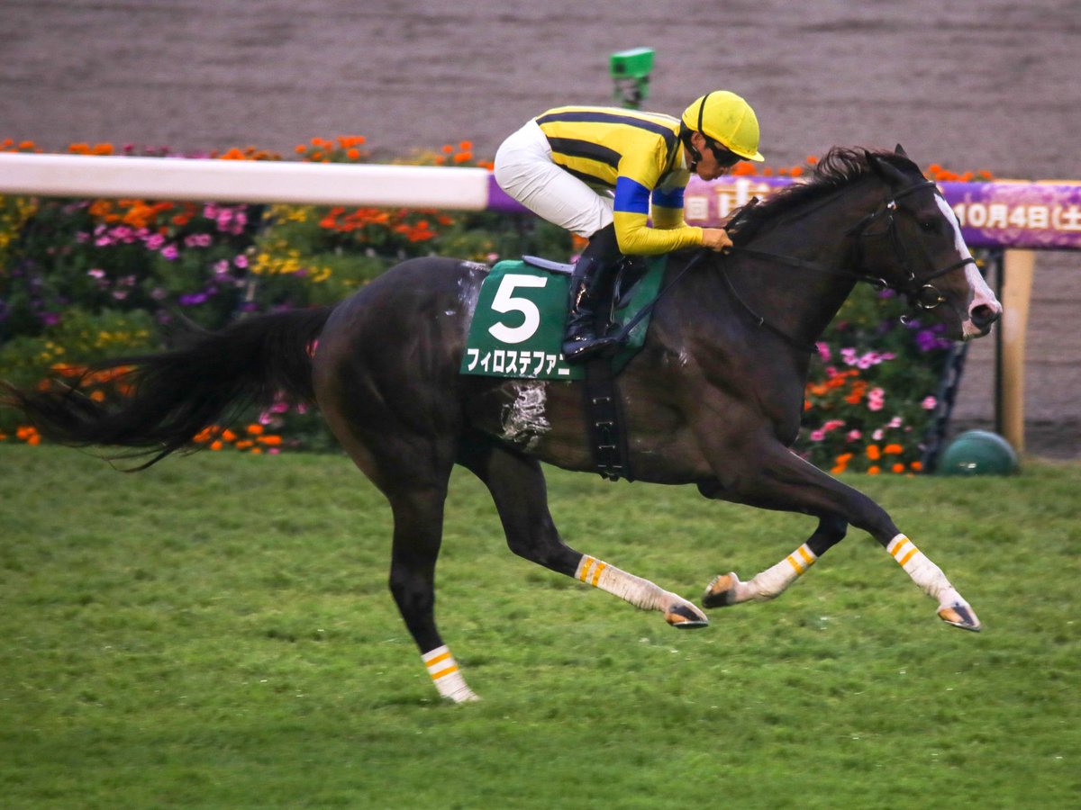 オルフェーヴル たてがみ 2015年 Yahoo!オークション -「オ