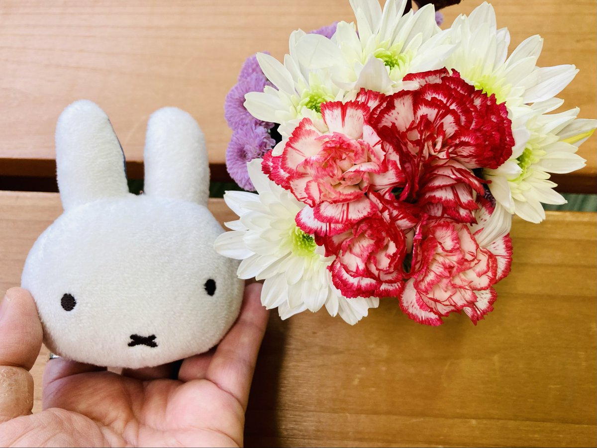 ohisamanotikara's tweet photo. ミッフィーちゃんとお花🐰💐
ミッフィーちゃんにはお花がよく似合うね。
#flowei #miffy #お花 #ぬいどり https://t.co/DSGKa5nMU9