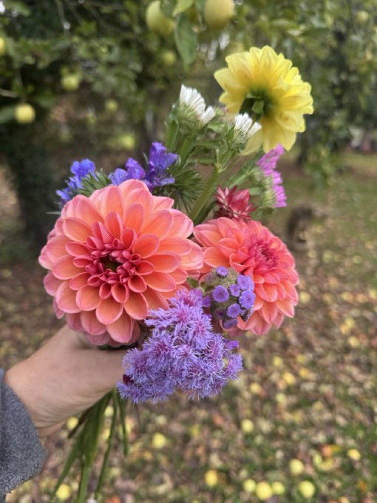 For you.