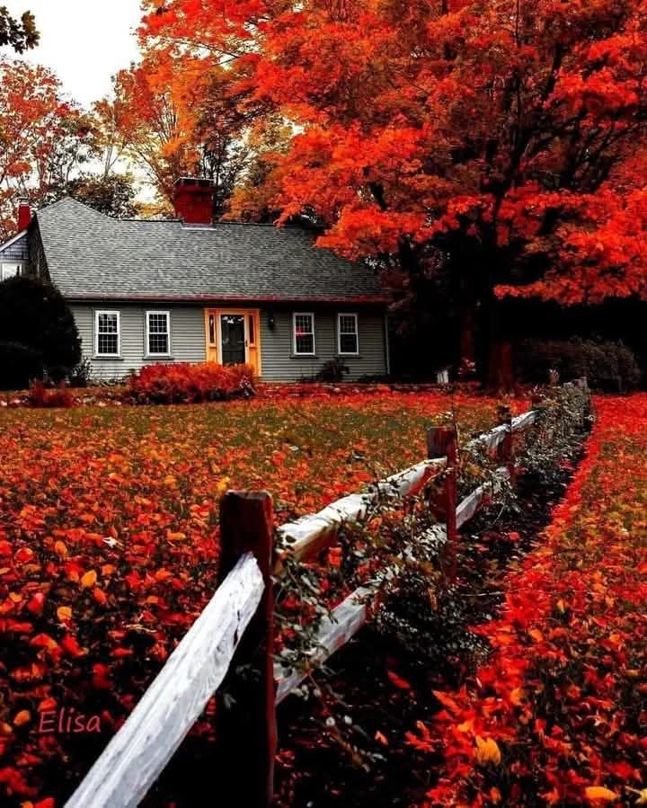 ... Αυτά τα Χρώματα του Φθινοπώρου... πόσο Χρωματίζουν τις ψυχές μας...και πόσο μας διδάσκουν να κάνουμε και εμείς το ίδιο....να απλώνουμε τα χρώματα της Ψυχής μας Παντού για να Ομορφαίνει ο Κόσμος...!