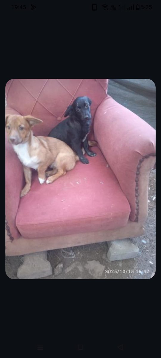 Bugra Kuki tweet media