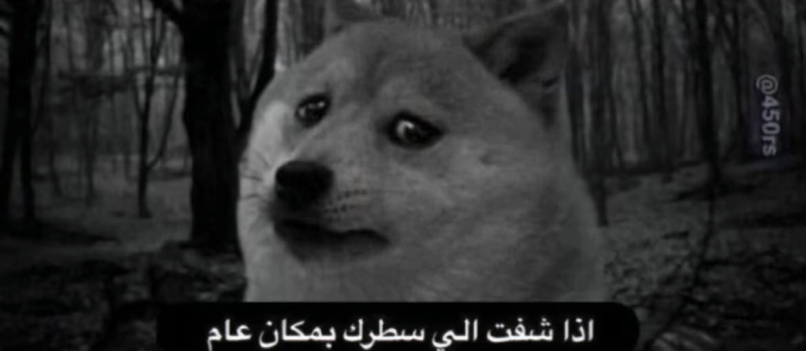 BLINKY (@_niva2) on Twitter photo 