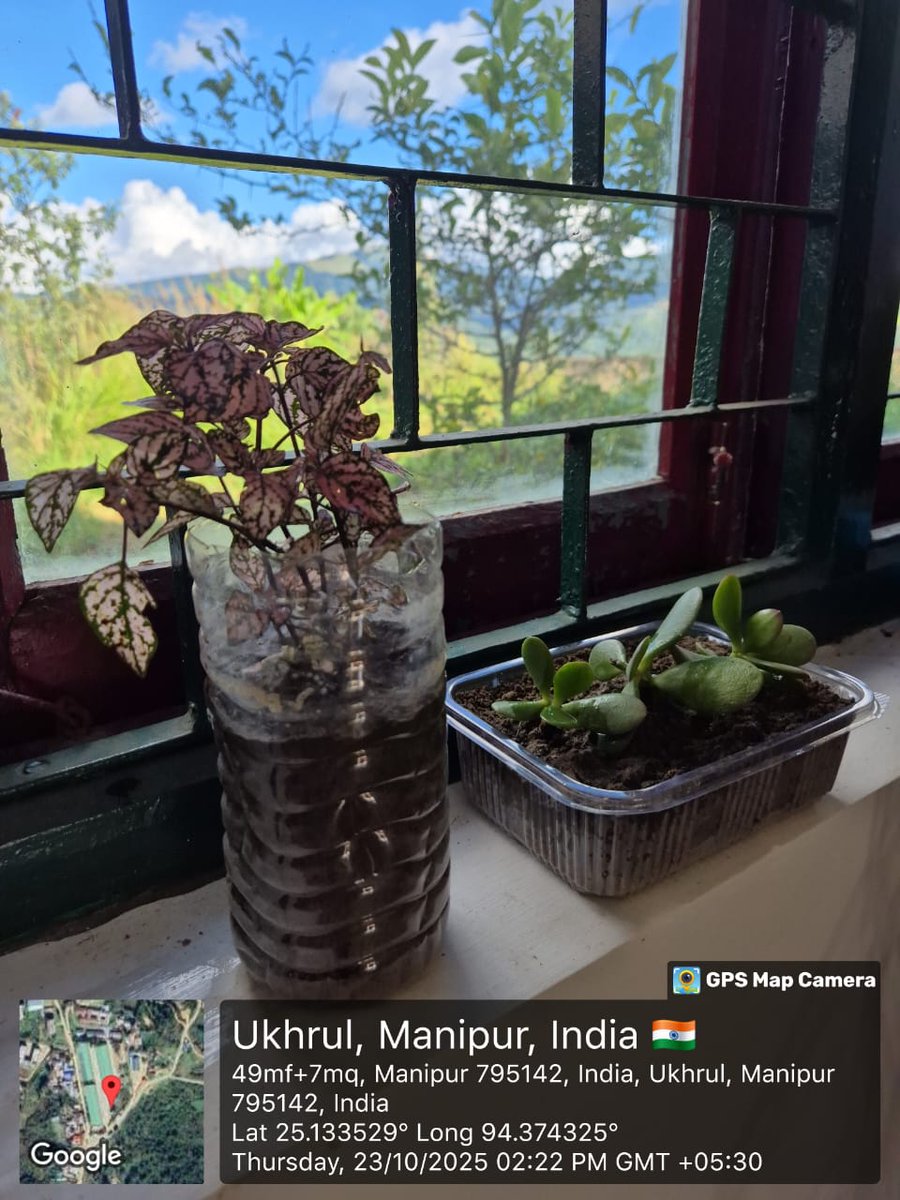 Waste of art creation by staffs of FSD Ukhrul under FCI DO Imphal in connection with Special Campaign 5.0 on 23.10.2025
#SpecialCampaign5_0
<a href="/FCI_India/">Food Corporation of India</a>
<a href="/fci_ne/">Food Corporation of India, Zonal Office(NE)</a>
<a href="/FciManipur/">FCI_Manipur</a>