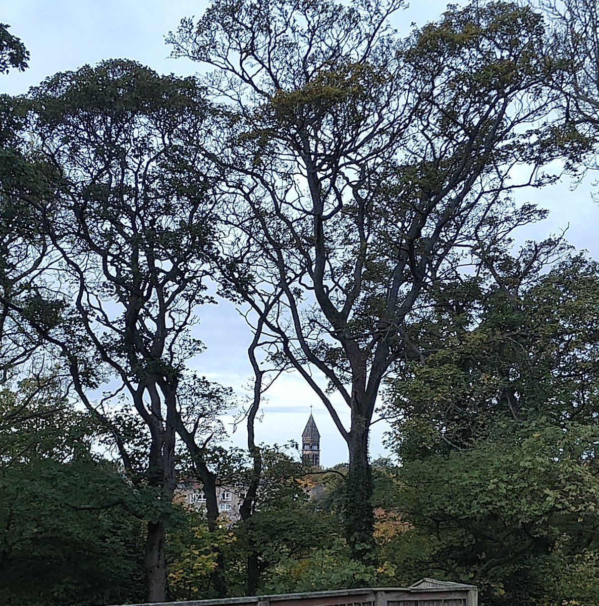 Jesmond Dene parkrun tweet media