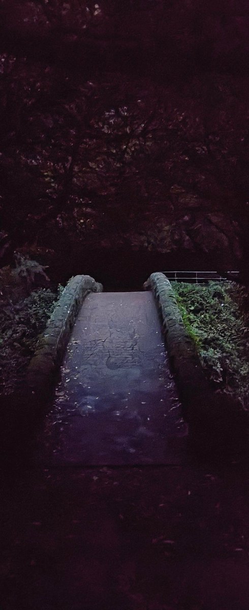 Jesmond Dene parkrun tweet media