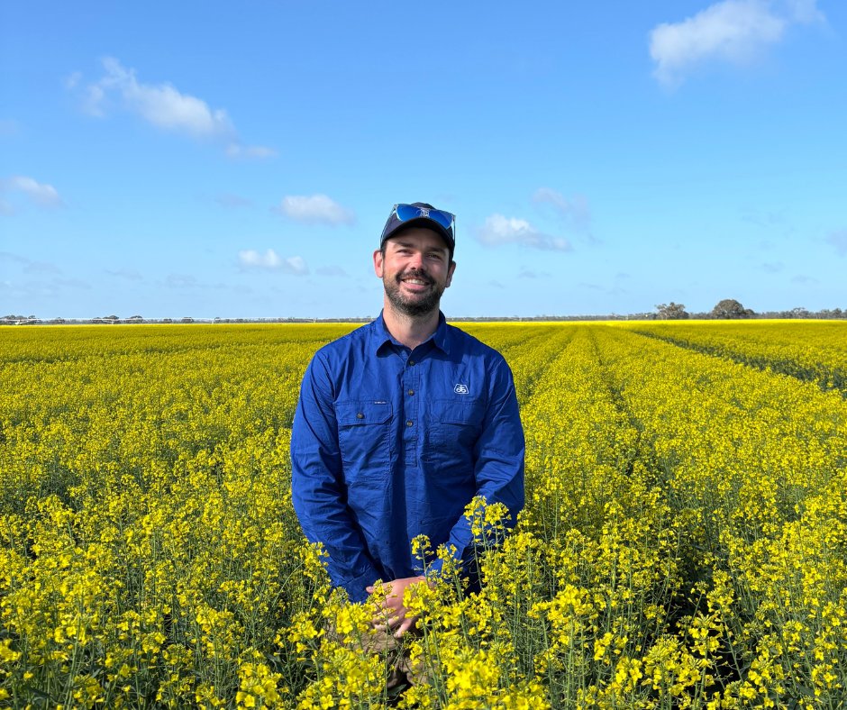 Pioneer® Graduate Production Agronomist Brett Thompson inspecting a Clearfield® production field in Wakool, NSW. For more information on our canola hybrids, reach out to your local representative: loom.ly/C1CCbnA