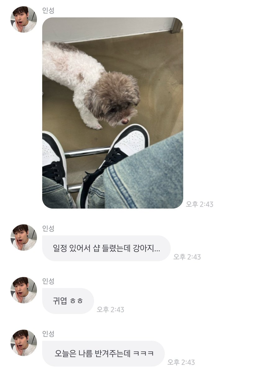 gyaradoSF9's tweet photo. 왜냐하면 다른 강아지니까요 https://t.co/edMvvHgKec