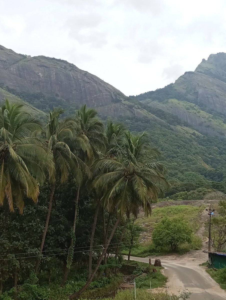 Brasilwale's tweet image. ഇത് ദൈവത്തിന്റെ സ്വന്തം നാട്ടിലെ സുന്ദര കാഴ്ചകൾ... പാലക്കാട്, മലമ്പുഴ ദാമും കവ ദീപു പ്രദേശവും