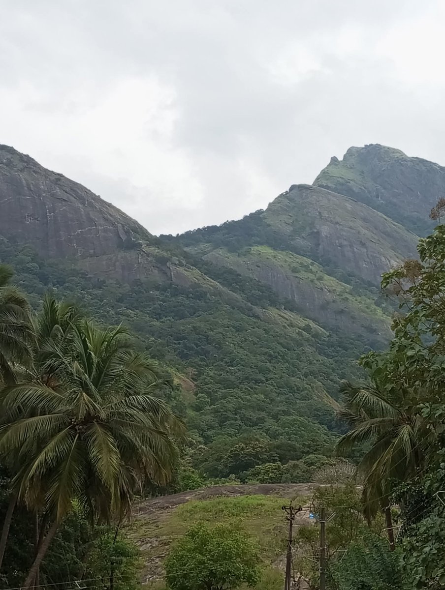 Brasilwale's tweet image. ഇത് ദൈവത്തിന്റെ സ്വന്തം നാട്ടിലെ സുന്ദര കാഴ്ചകൾ... പാലക്കാട്, മലമ്പുഴ ദാമും കവ ദീപു പ്രദേശവും