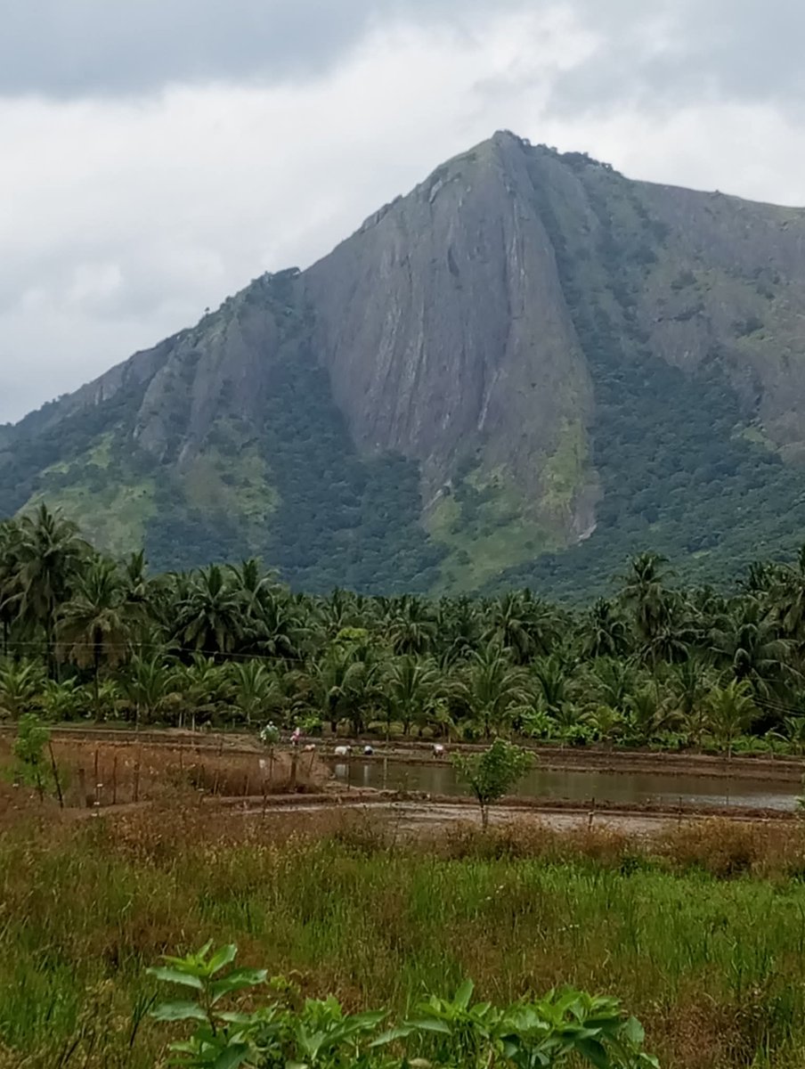 Brasilwale's tweet image. ഇത് ദൈവത്തിന്റെ സ്വന്തം നാട്ടിലെ സുന്ദര കാഴ്ചകൾ... പാലക്കാട്, മലമ്പുഴ ദാമും കവ ദീപു പ്രദേശവും