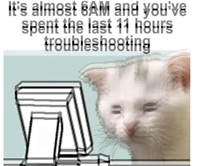 kmcnam1's tweet image.