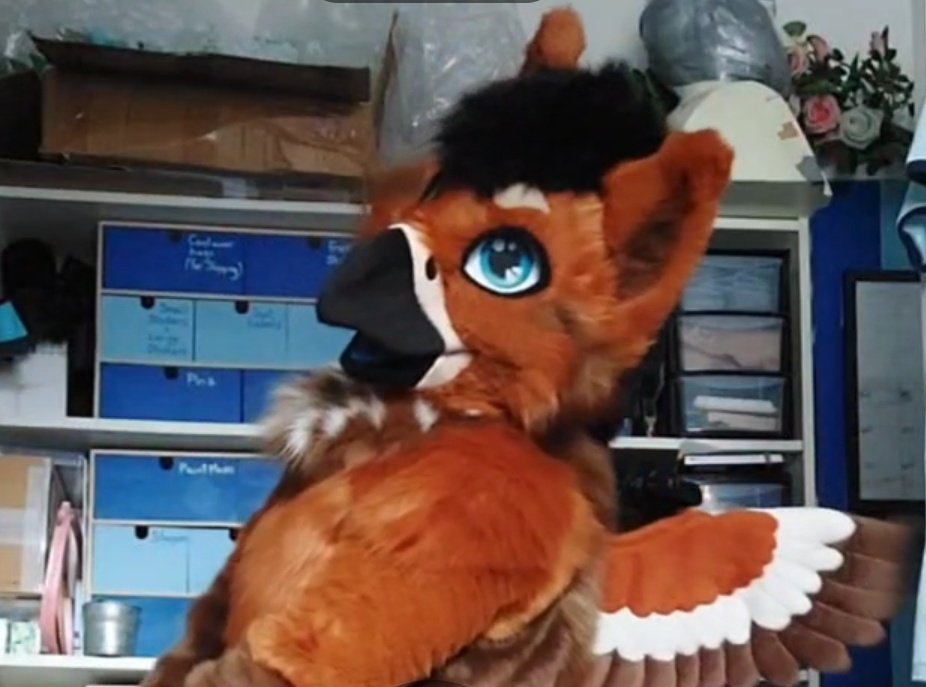 Snow Gryphon Suits tweet media