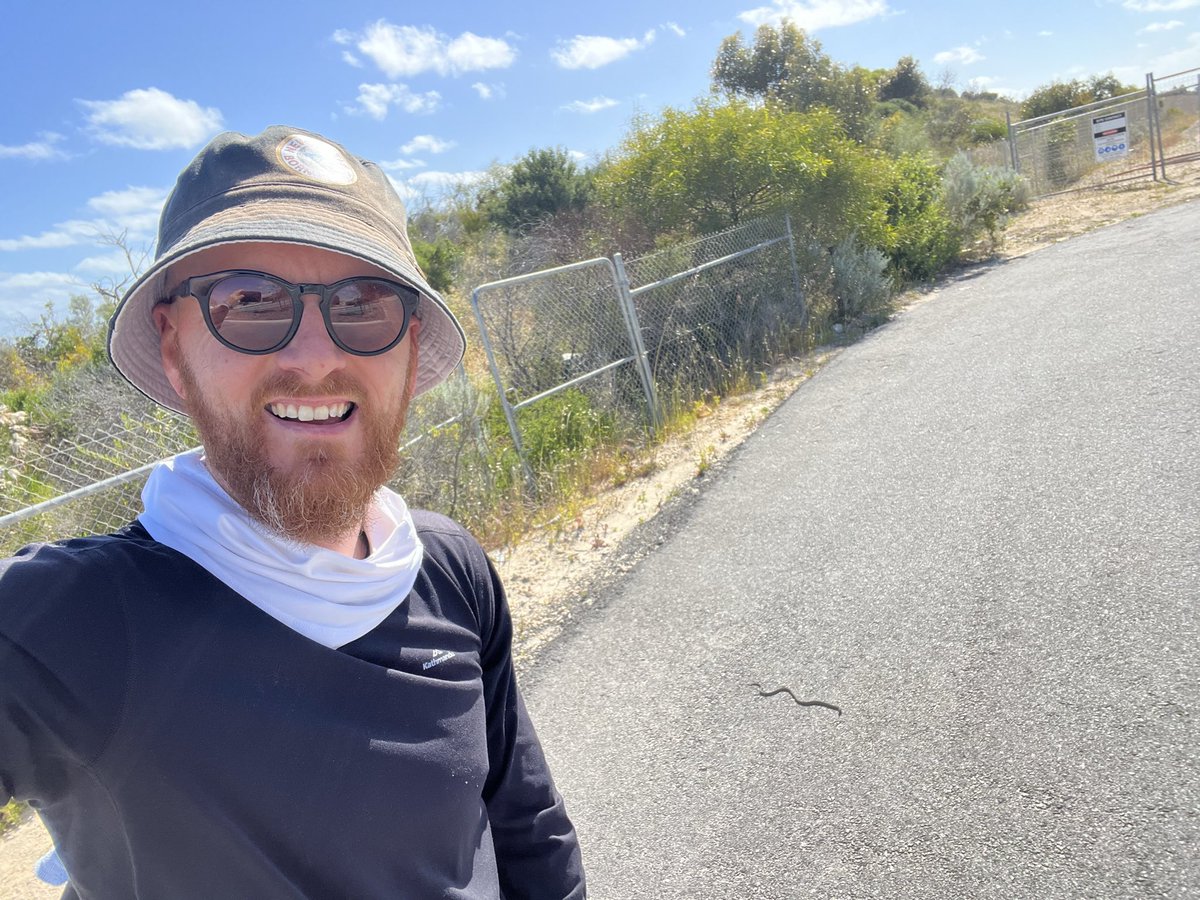 johnshenton1982's tweet image. Just me and one of the worlds most venomous snakes chilling in Perth 😂