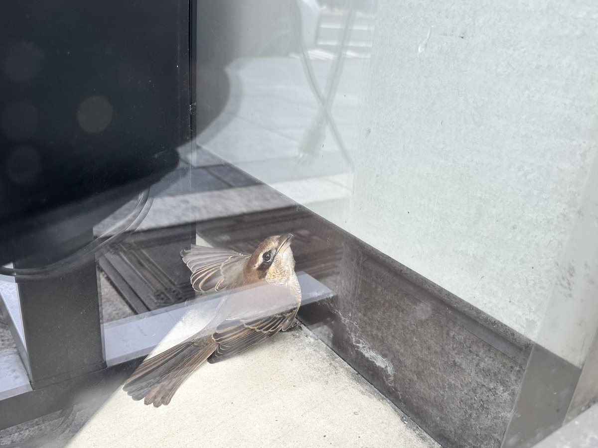 アイドル BIGBANG LAWSON Blu-ray】BIGBANG MADE BEST COLLECTION☆FXXk It Last Dance