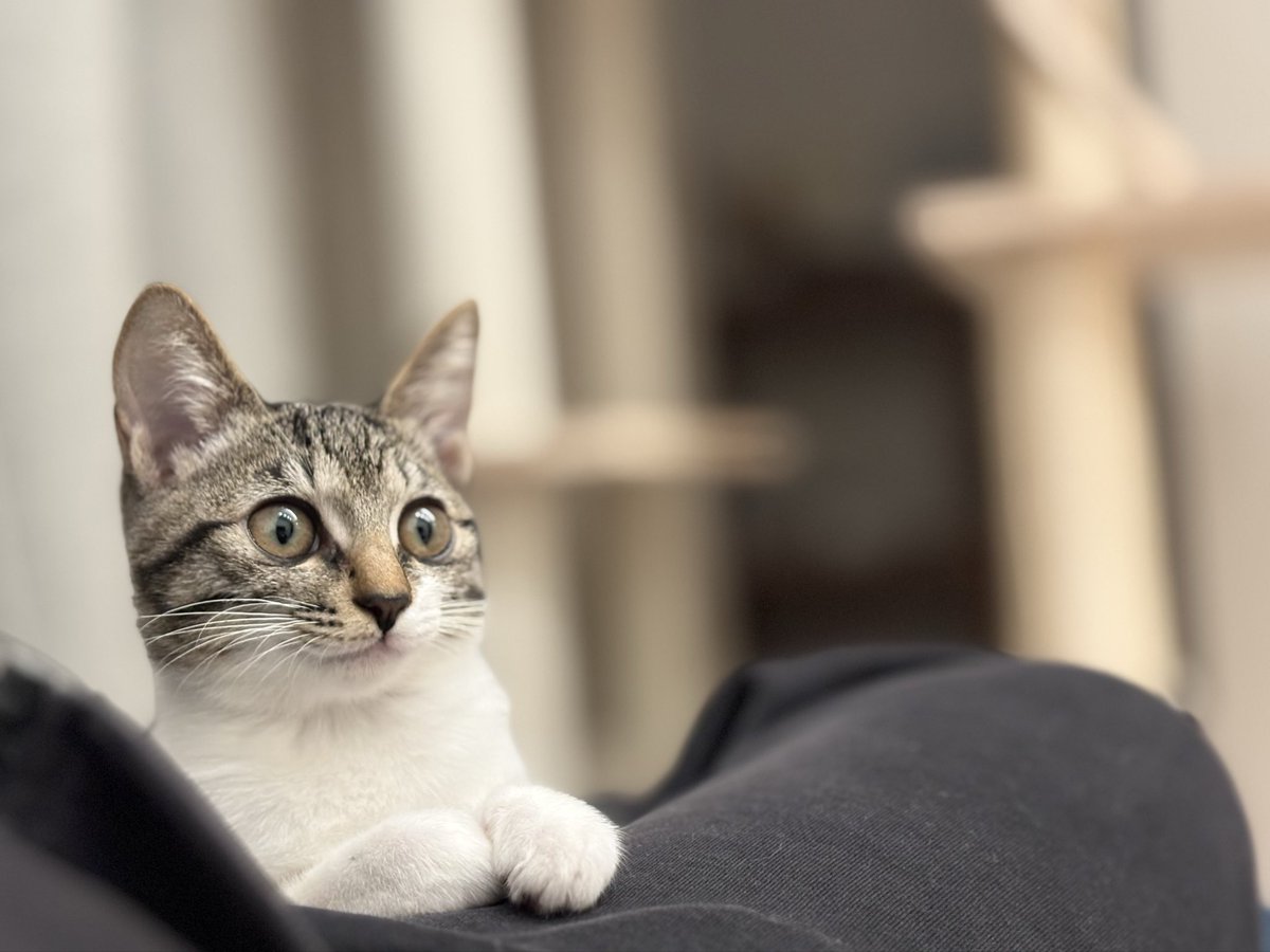 あさみん (@asamix0730) / Posts / X